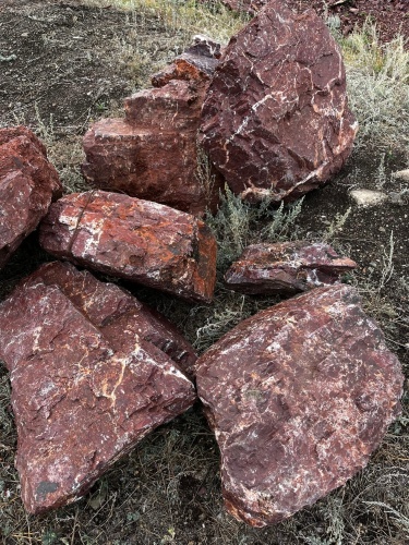 Камни для ландшафтного дизайна красно-фиолетовые 10-60 килограмм купить в Тверской области