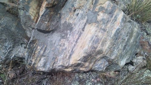 Гигантские зелёные валуны для ландшафтного дизайна весом более 5 тонн купить в Тверской области