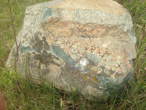 Гигантские зелёные валуны для ландшафтного дизайна весом более 5 тонн купить в Тверской области