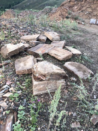 Плитняк кора дерева 50-100мм для пошаговых дорожек купить в Тверской области